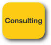 Consulting 